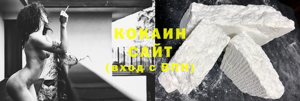трава Аркадак