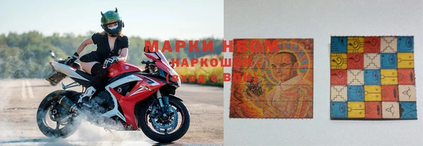 шишки Балахна