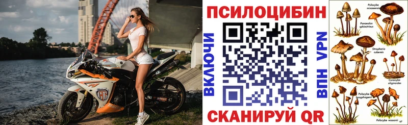 Галлюциногенные грибы ЛСД  Купить закладки  Сельцо 